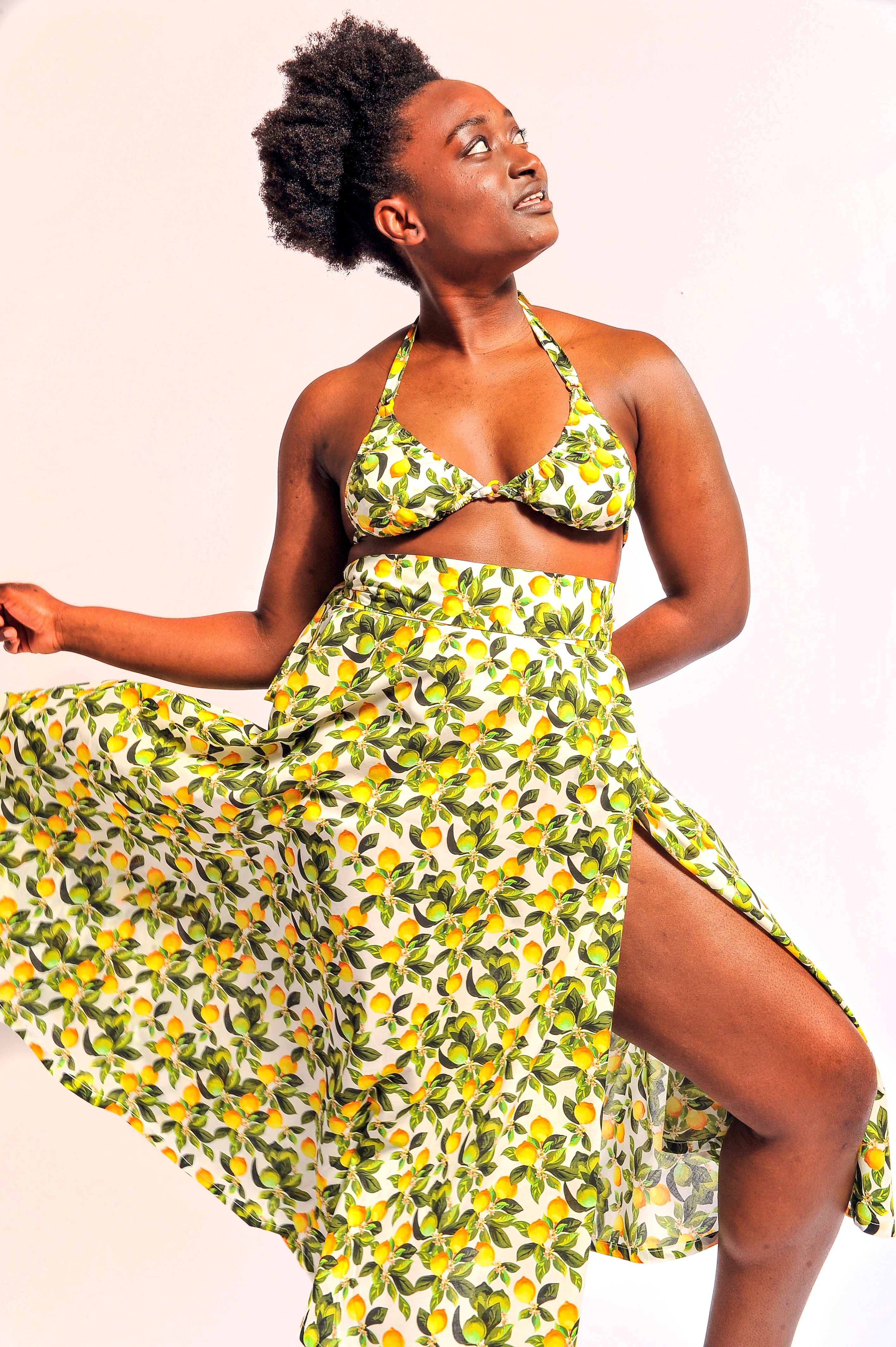 Image Title Alt Image