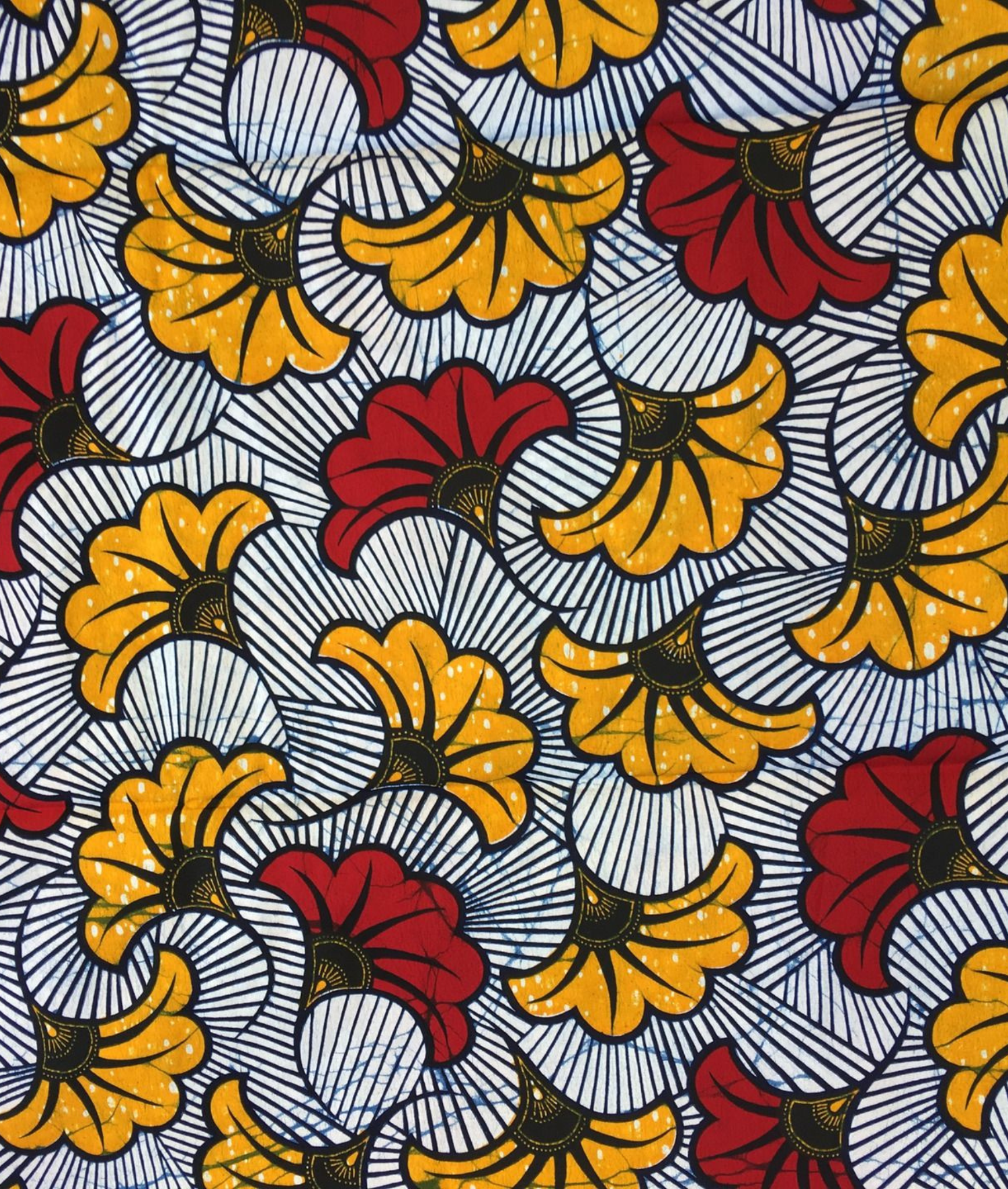 Image Title Alt Image